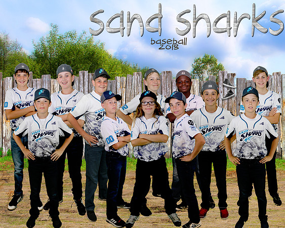 8x10team sandlot