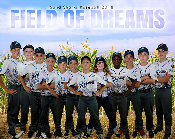 fieldofdreams