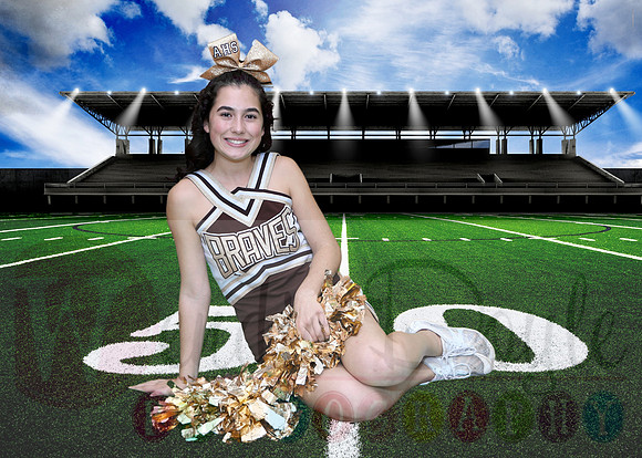 Absegami cheer (15)