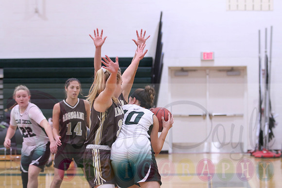 Absegami basketball (9)