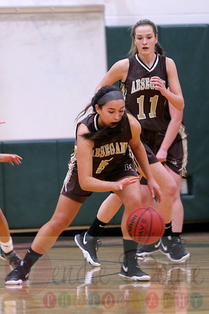 Absegami basketball (17)