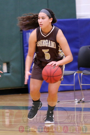 Absegami basketball (18)