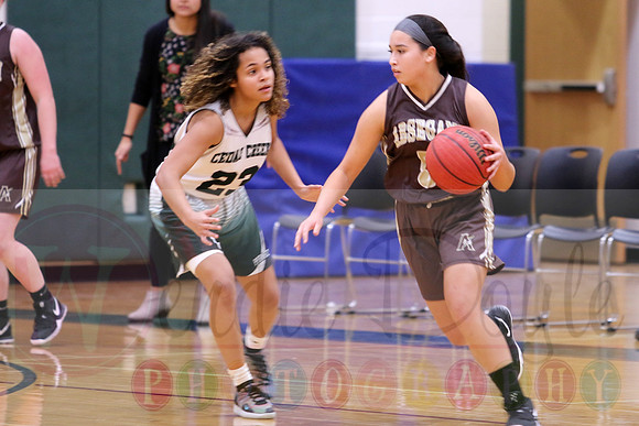 Absegami basketball (20)