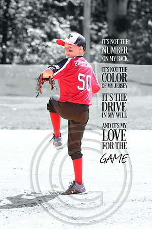 Galloway 8U all stars (2)