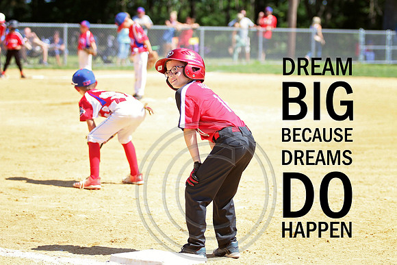Galloway 8U all stars (7)