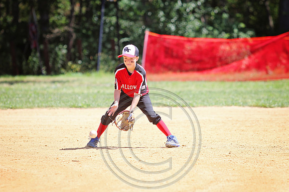 Galloway 8U all stars (9)