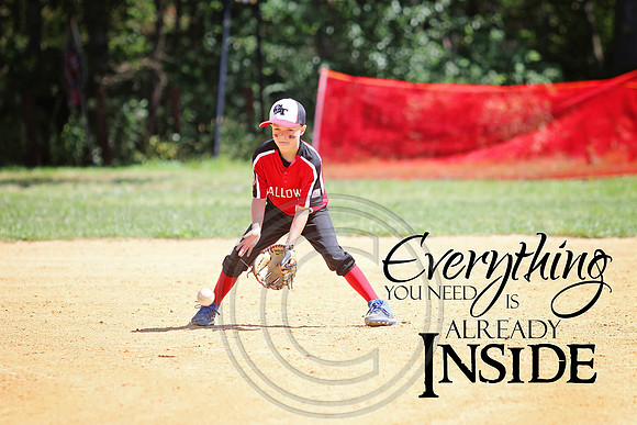 Galloway 8U all stars (10)
