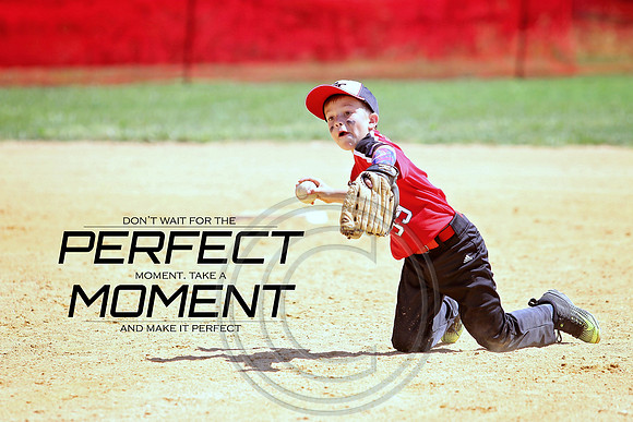 Galloway 8U all stars (12)
