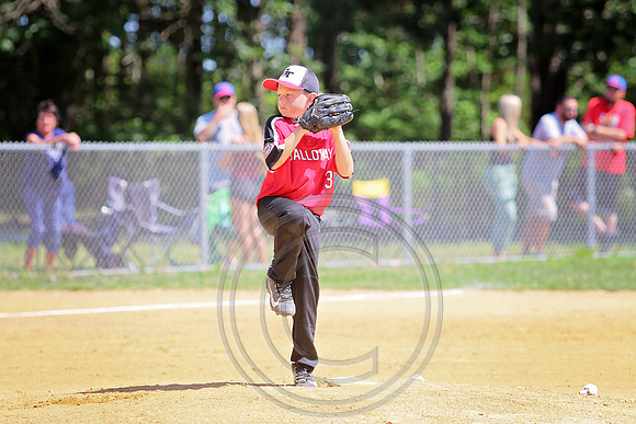 Galloway 8U all stars (14)