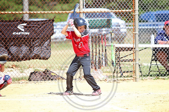Galloway 8U all stars (15)