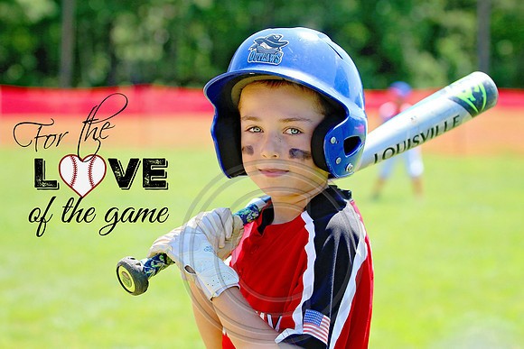 Galloway 8U all stars (18)