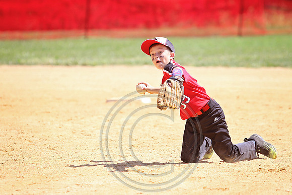 Galloway 8U all stars (11)