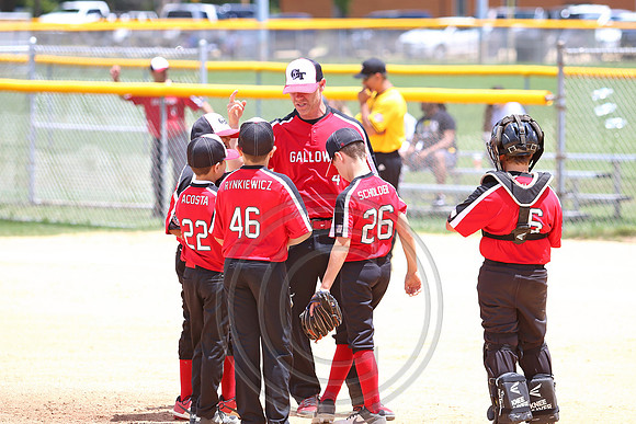 Galloway 10U all stars (4)
