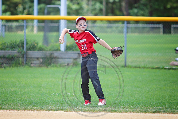 Galloway 10U all stars (12)