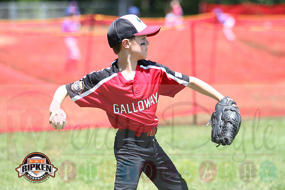 Galloway 9U all stars (4)