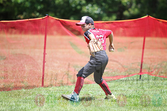 Galloway 9U all stars (5)