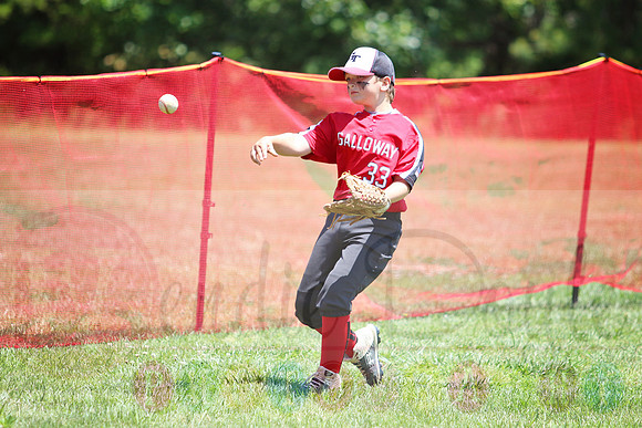 Galloway 9U all stars (7)