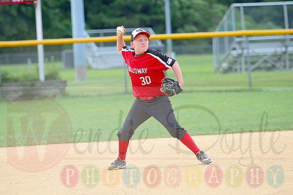 Galloway 9U all stars (10)