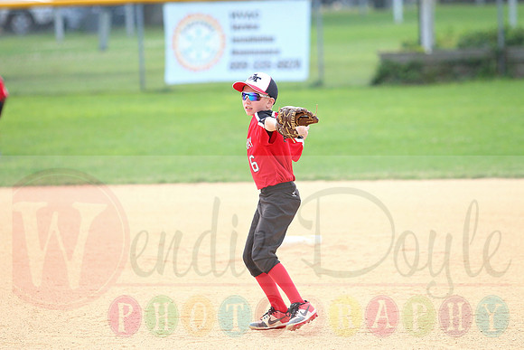 Galloway 9U all stars (16)