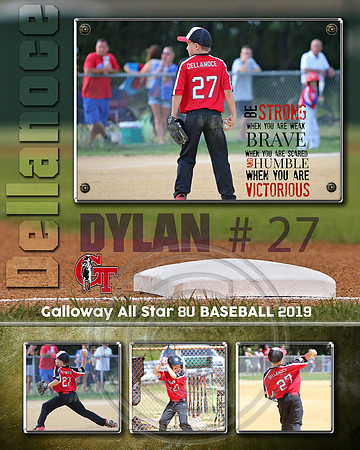 specialty print Dylan