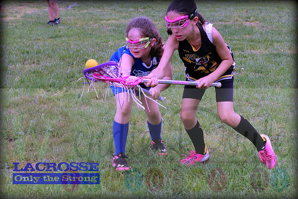 AbseconLacrosse (17)