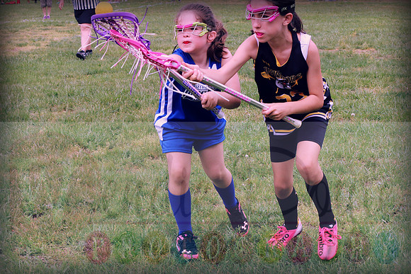 AbseconLacrosse (18)