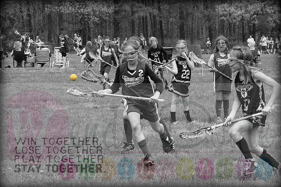 AbseconLacrosse (11)